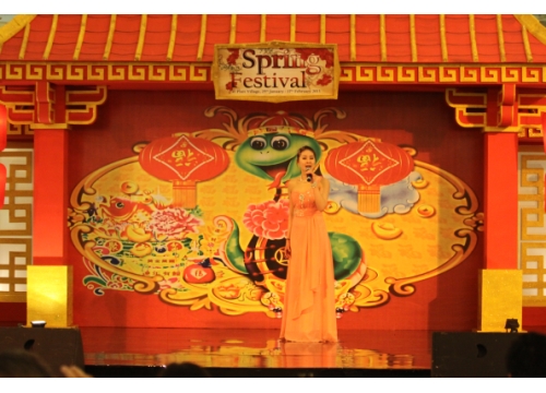 热烈欢迎我校学生赴印尼巡回慰问侨胞演出胜利归来 (https://www.hnyixiao.cn/) 校内新闻 第3张