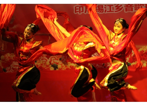 热烈欢迎我校学生赴印尼巡回慰问侨胞演出胜利归来 (https://www.hnyixiao.cn/) 校内新闻 第6张