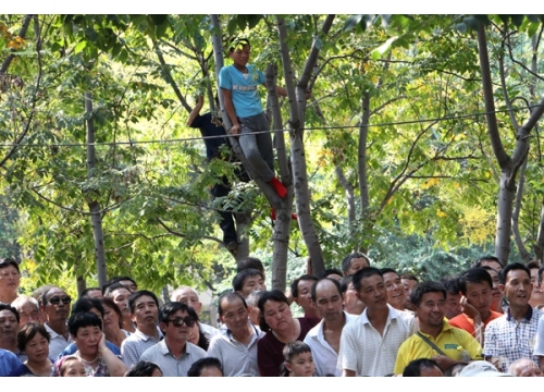《大石桥有戏》王希玲收徒现场有多火？数数多少人爬到了树上看 (https://www.hnyixiao.cn/) 校内新闻 第1张