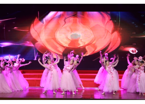我校学生参加郑州市教育局第四届老年艺术节开幕式 (https://www.hnyixiao.cn/) 校内新闻 第2张