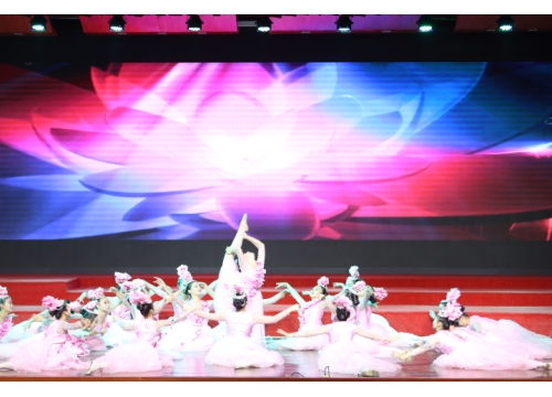 我校学生参加郑州市教育局第四届老年艺术节开幕式 (https://www.hnyixiao.cn/) 校内新闻 第6张