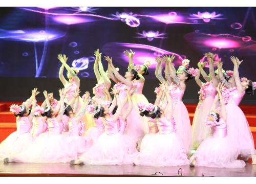我校学生参加郑州市教育局第四届老年艺术节开幕式 (https://www.hnyixiao.cn/) 校内新闻 第7张