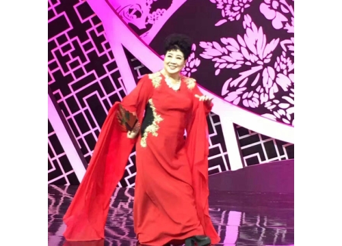 著名豫剧表演艺术家王希玲第五次登上央视2017春节戏曲晚会 (https://www.hnyixiao.cn/) 校内新闻 第2张