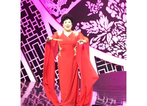 著名豫剧表演艺术家王希玲第五次登上央视2017春节戏曲晚会 (https://www.hnyixiao.cn/) 校内新闻 第4张