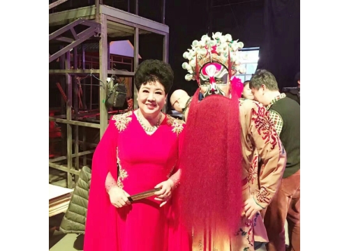 著名豫剧表演艺术家王希玲第五次登上央视2017春节戏曲晚会 (https://www.hnyixiao.cn/) 校内新闻 第7张