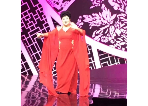 著名豫剧表演艺术家王希玲第五次登上央视2017春节戏曲晚会 (https://www.hnyixiao.cn/) 校内新闻 第5张