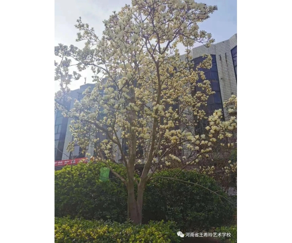 新校园，新环境，新历程 (https://www.hnyixiao.cn/) 校内新闻 第2张