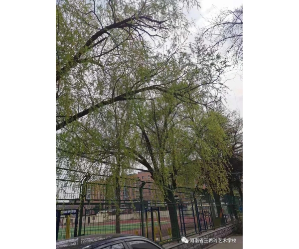 新校园，新环境，新历程 (https://www.hnyixiao.cn/) 校内新闻 第8张