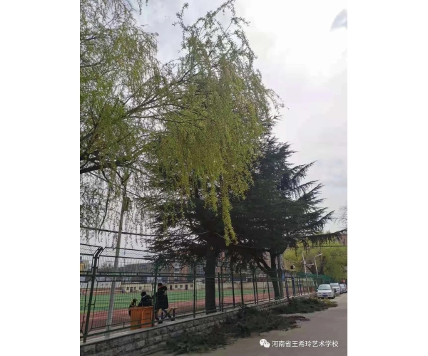 新校园，新环境，新历程 (https://www.hnyixiao.cn/) 校内新闻 第9张